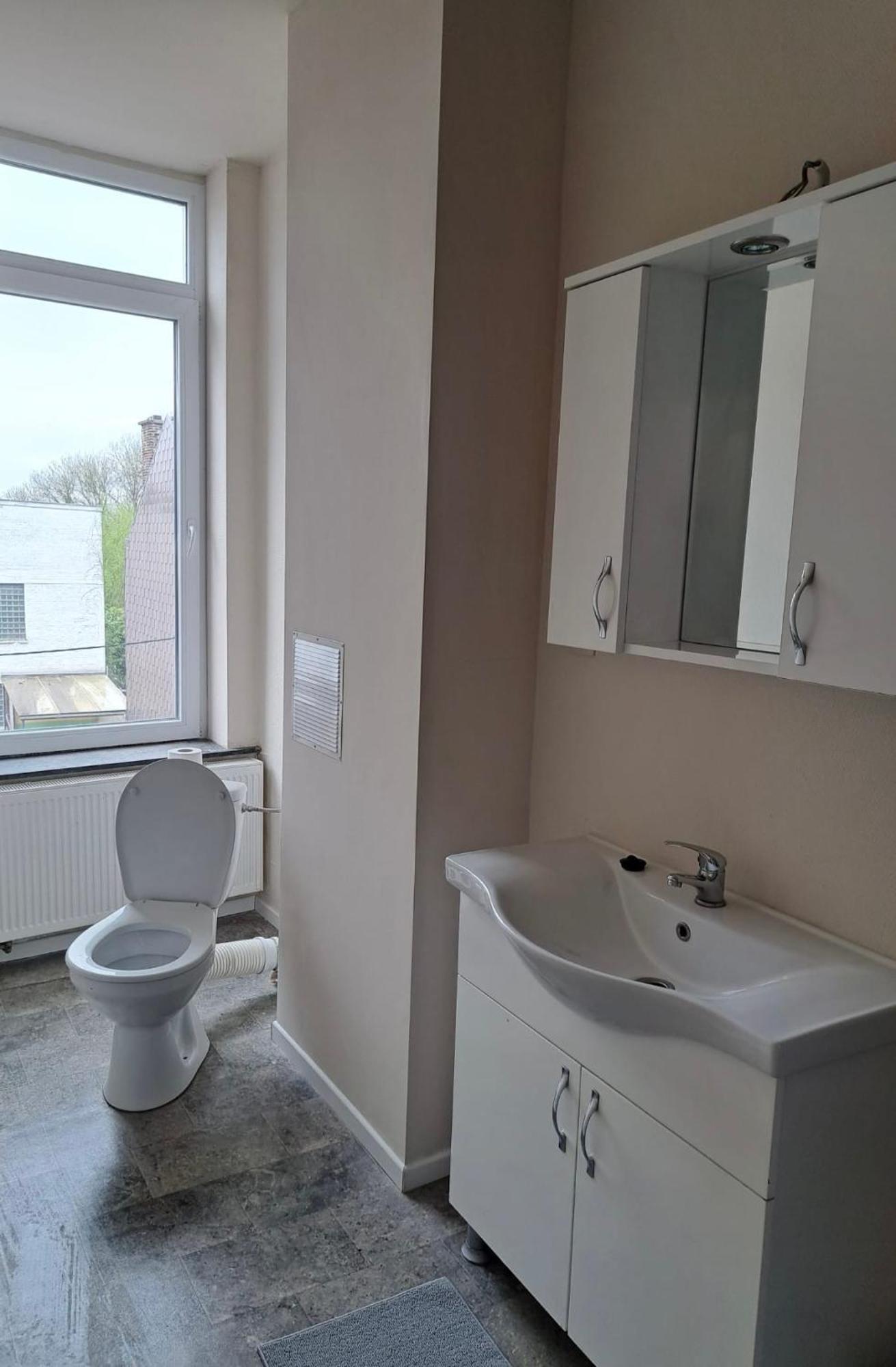 Апартаменти Jumet 242 B Bruxelles-Charleroi-Airport Екстер'єр фото